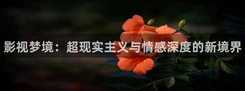 八戒影院免费视频：影视梦境：超现实主义与情感深度的新境界