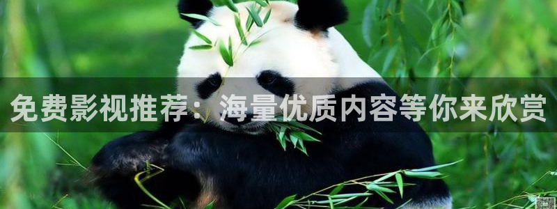 八戒影院在线观看污：免费影视推荐：海量优质内容等你来欣赏